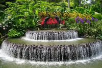 Orchideengarten in Singapur