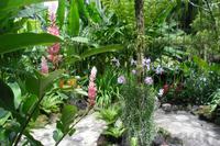 Orchideengarten in Singapur