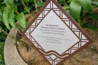 Orchideengarten in Singapur