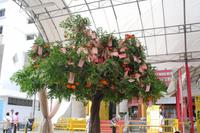 Little China in Singapur