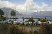 Ausblicke aus dem TranzAlpine Express - Lake Brunner