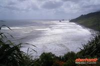 Westküste zwischen Greymouth und Punakaiki