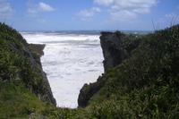 Pancake Rocks in Punakaiki
