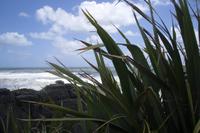 Pancake Rocks in Punakaiki