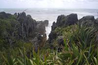 Pancake Rocks in Punakaiki