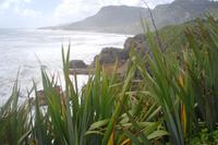 Pancake Rocks in Punakaiki