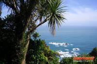 Knights Point mit Blick auf die Westküste