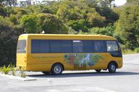 unser Bus am Knights Point