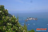 Knights Point mit Blick auf die Westküste