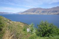 Lake Wanaka