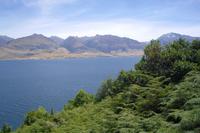 Lake Wanaka