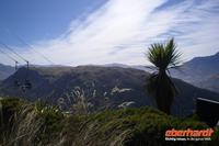 Ausblicke von Bob s Peak