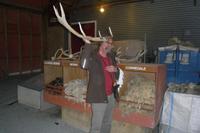 Mario als Farmerguide