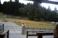 Farmshow auf der Walter Peak Hochlandfarm