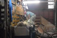 Farmshow auf der Walter Peak Hochlandfarm