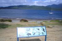 Lake Te Anau