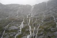 ...unterwegs zum Milford Sound...