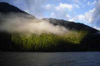 Fahrtimpressionen vom Milford Sound