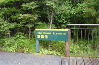 Rundweg durch den Regenwald