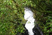 Spaziergang durch den Regenwald