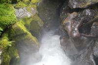 Spaziergang durch den Regenwald