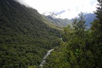 Blick ins Hollyford Valley