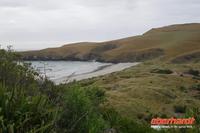 Otago Halbinsel, auf dem Gelände des Pinguin-Schutzprojektes Penguin Place