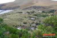 Otago Halbinsel, auf dem Gelände des Pinguin-Schutzprojektes Penguin Place
