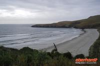 Otago Halbinsel, auf dem Gelände des Pinguin-Schutzprojektes Penguin Place