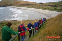 Otago Halbinsel, auf dem Gelände des Pinguin-Schutzprojektes Penguin Place