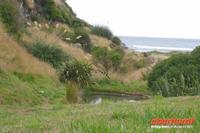 Otago Halbinsel, auf dem Gelände des Pinguin-Schutzprojektes Penguin Place