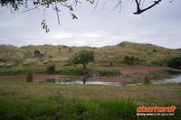 Otago Halbinsel, auf dem Gelände des Pinguin-Schutzprojektes Penguin Place