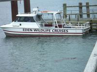 Otago Halbinsel, Bootsfahrt mit Vogelbeobachtungen (unser Boot)