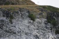 Otago Halbinsel, Bootsfahrt mit Vogelbeobachtungen