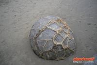 PazifikkÜste Moeraki Boulders