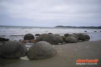 PazifikkÜste Moeraki Boulders