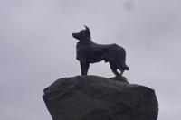 Collie Dog Monument am Lake Tekapo