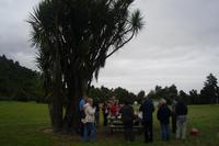 Peel Forest Park (Bergfest mit Sekt und Keksen)