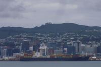 Einfahrt nach Wellington