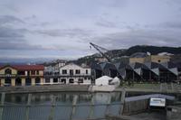 Abendlicher Spaziergang in Wellington