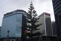 Abendlicher Spaziergang in Wellington