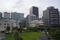 Abendlicher Spaziergang in Wellington