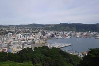 Ausblick vom Mount Victoria auf Wellington