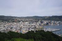 Ausblick vom Mount Victoria auf Wellington
