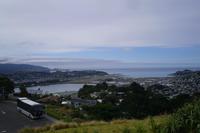 Ausblick vom Mount Victoria auf Wellington
