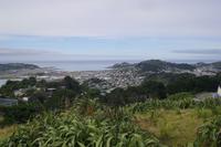 Ausblick vom Mount Victoria auf Wellington