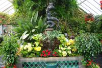 Botanischer Garten in Wellington