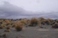 Tongariro Nationalpark