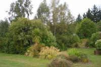 Parkanlage der Tongariro Lodge in Turangi
