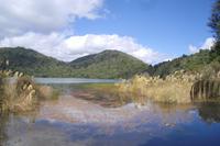 ...auf der Maori-Wanderung (Lake Rotopounamu)...